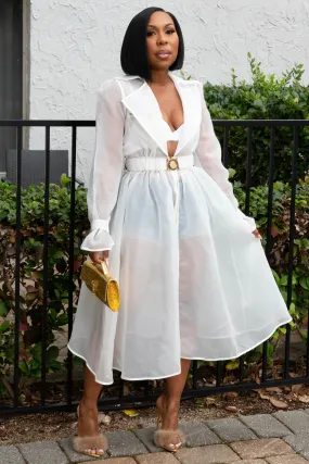 Neutral Look Tear-resistant Brandy Belted Waist Mesh Trench Coat/Dress