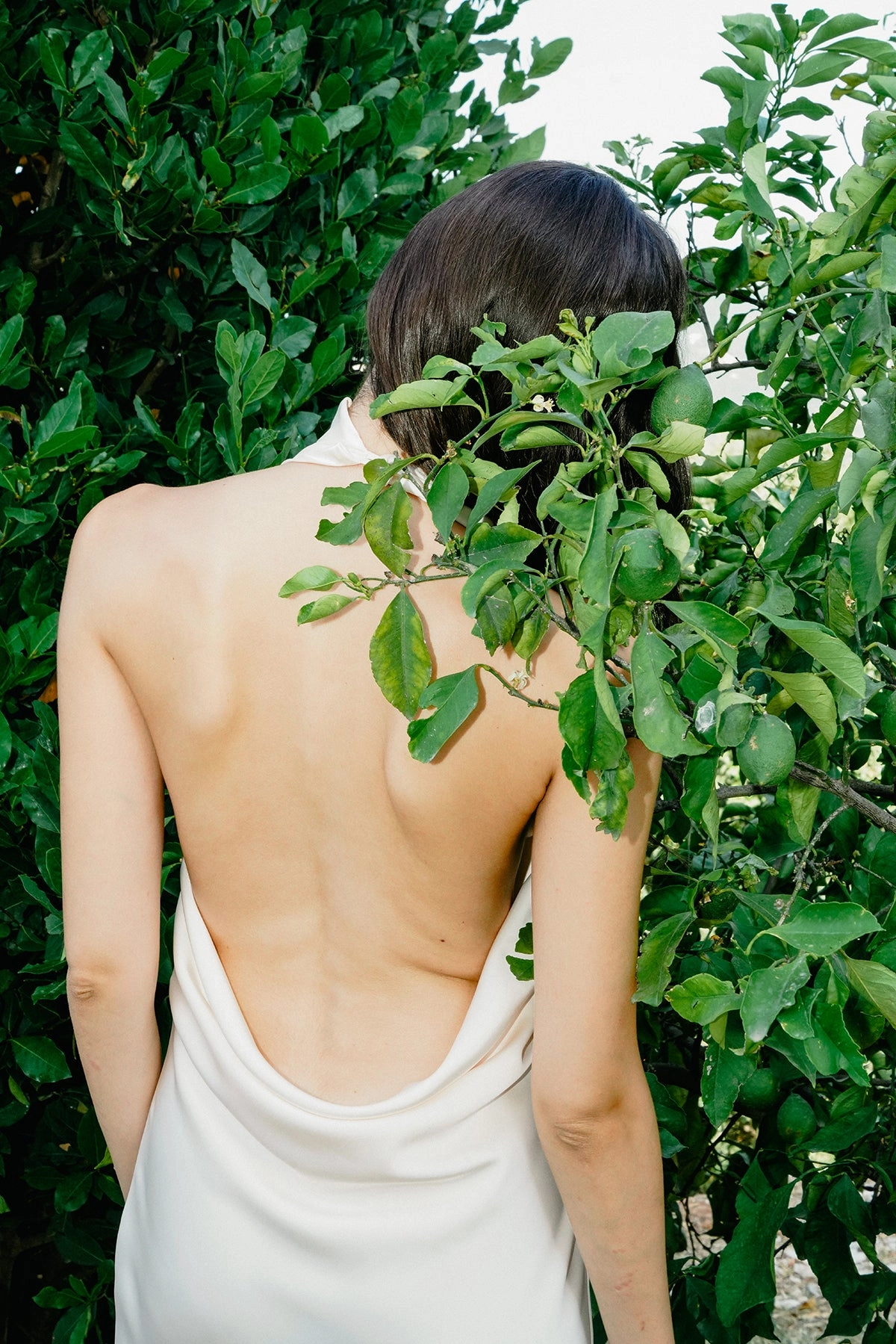 Parasol d'??t?? Dress CrinkleResistantWeave