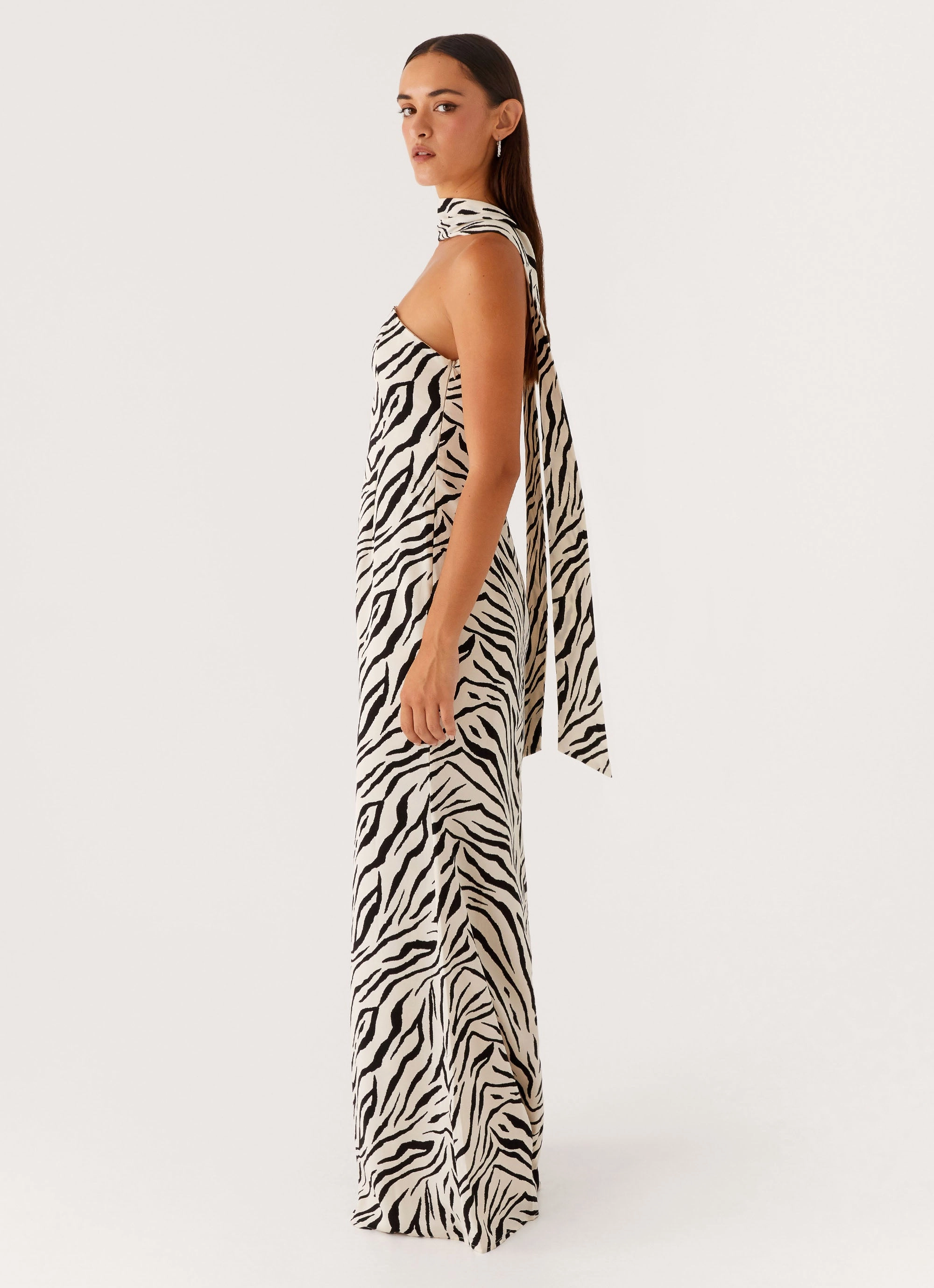 Jigsaw Strapless Maxi Dress - Zebra Travel-Style