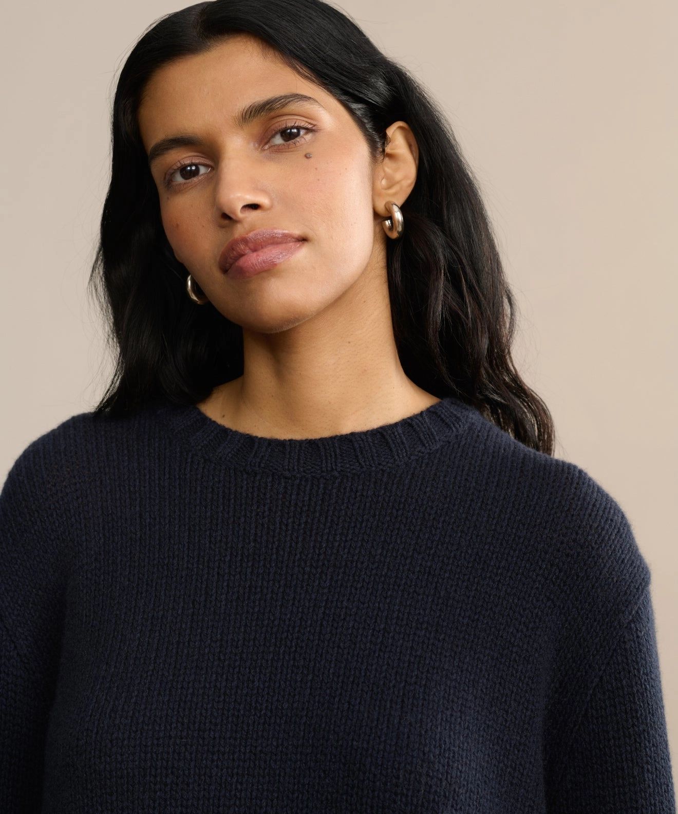 Cashmere Amelia Crewneck LowMaintenance Fabric