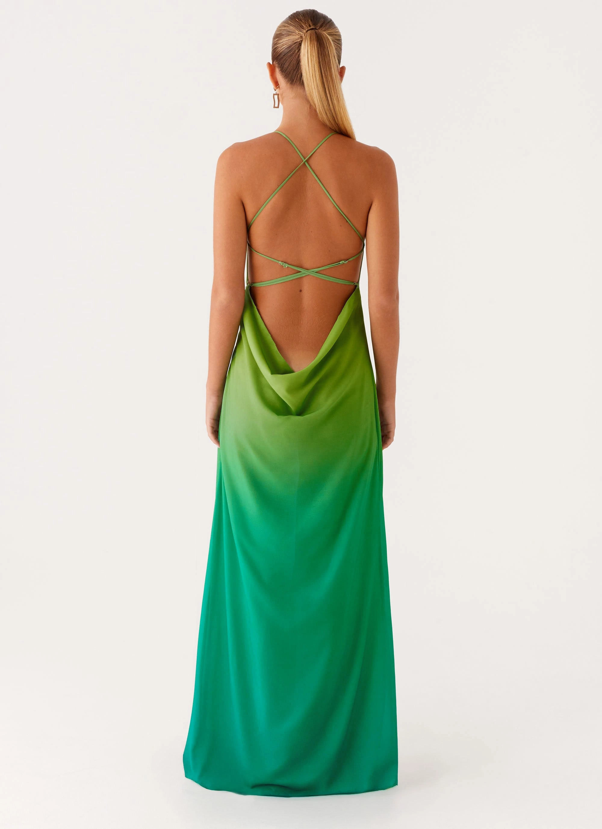 Opposites Attract Maxi Dress - Green Ombre Lined interior